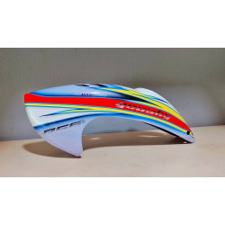 Custom  MaskPro Airbrush Fiberglass Canopy Goosky RS6