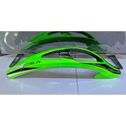 Custom MaskPro Airbrush Fiberglass Canopy For SAB Goblin RAW 700 